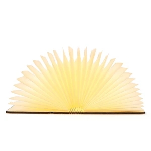 Folding LED Book Light