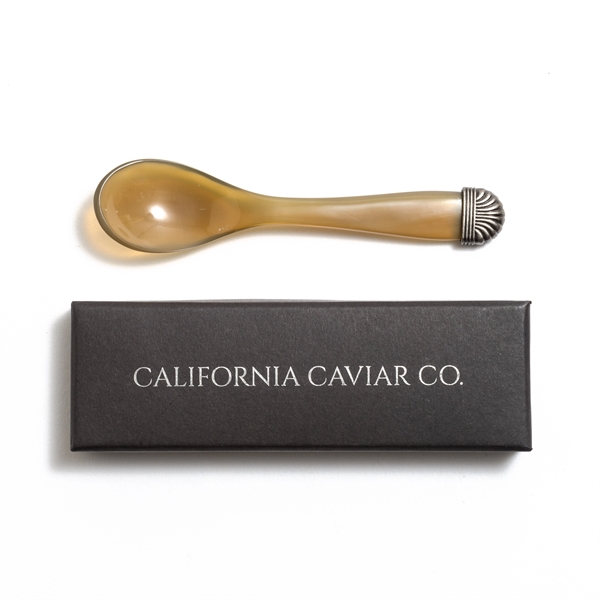 Buffalo Horn Caviar Spoon in Black Gift Box - Image 1