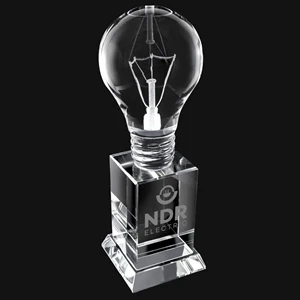 Crystal Light Bulb 8" Award