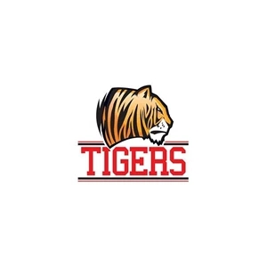 Tigers Mascot Temporary Tattoo