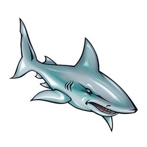 Illustrated Shark Temporary Tattoo