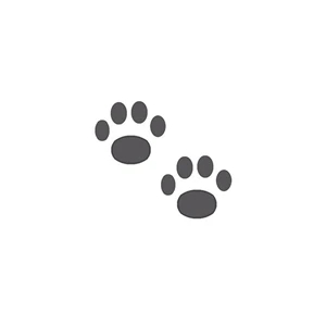 Two Paws Temporary Tattoo