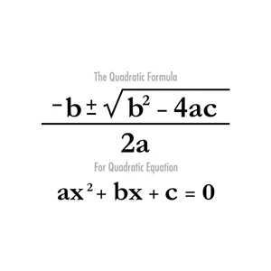 Quadratic Formula Temporary Tattoo