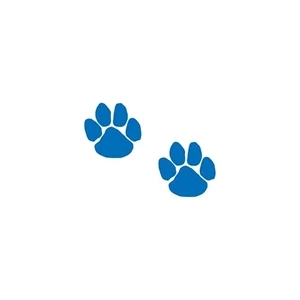 Two Blue Paws Temporary Tattoo