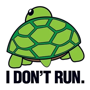 I Don't Run Turtle Temporary Tattoo