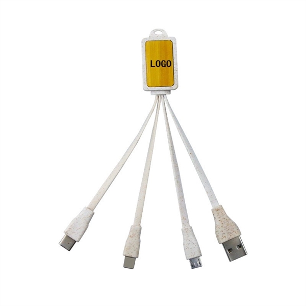 Promotional Gift USB Cable