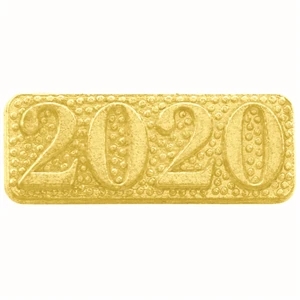Chenille Pin 2020