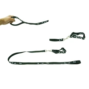 5ft Long Dog Training Leash One Handle with Adjustable Belt