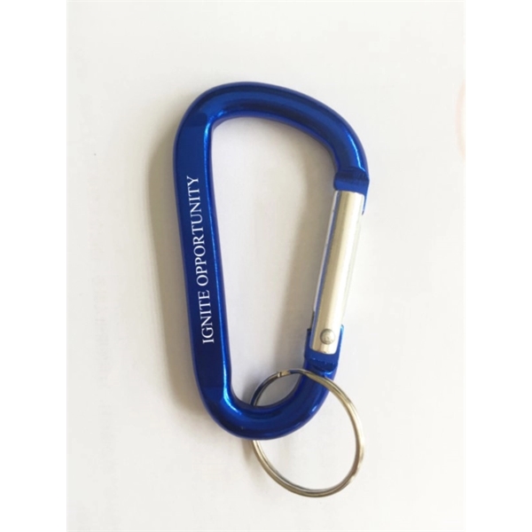 Aluminum Carabiner With Key Ring - Image 1