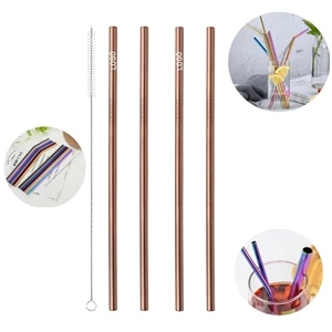Reusable Stainless Steel Straw With Cleaner