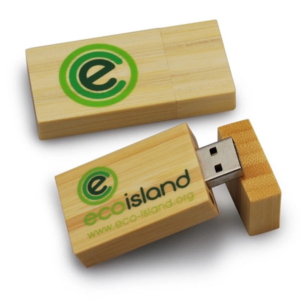 Environment Wooden USB Flash Drive - Image 1