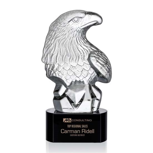 Fredricton Eagle Award - Image 2