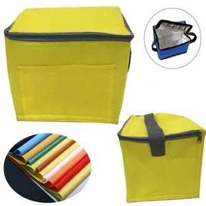 6 Pack Non-woven Cooler
