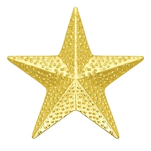 Star Chenille Lapel Pin