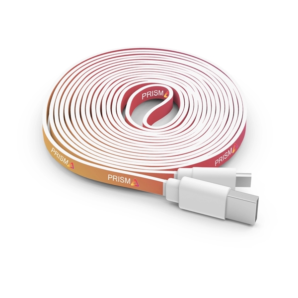 10 Foot Branded Cable - Image 1