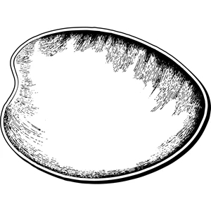 Clam Stock Shape Magnet
