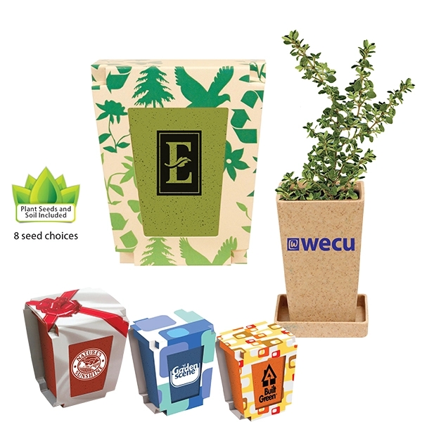 Promo Planter, 1-Pack Planter - Image 1