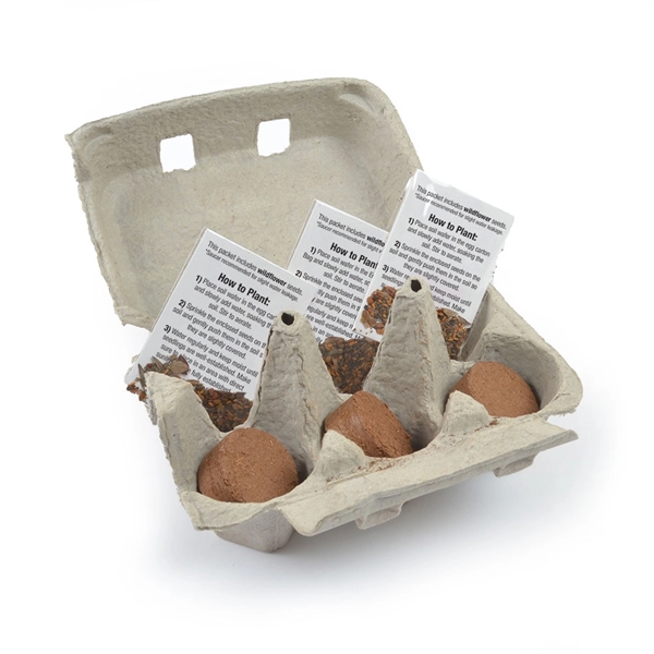 Egg Carton Garden - Image 2