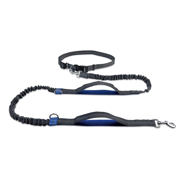 Hands Free Dog Leash with Dual Bungees
