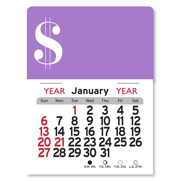 Dollar Sign Peel-N-Stick® Calendar - Image 14