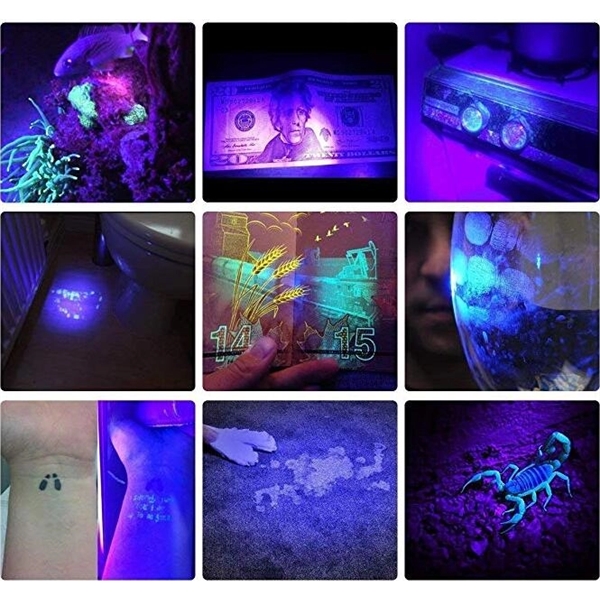 Portable Mini LED UV Flashlight Ultraviolet Lamp - Image 2