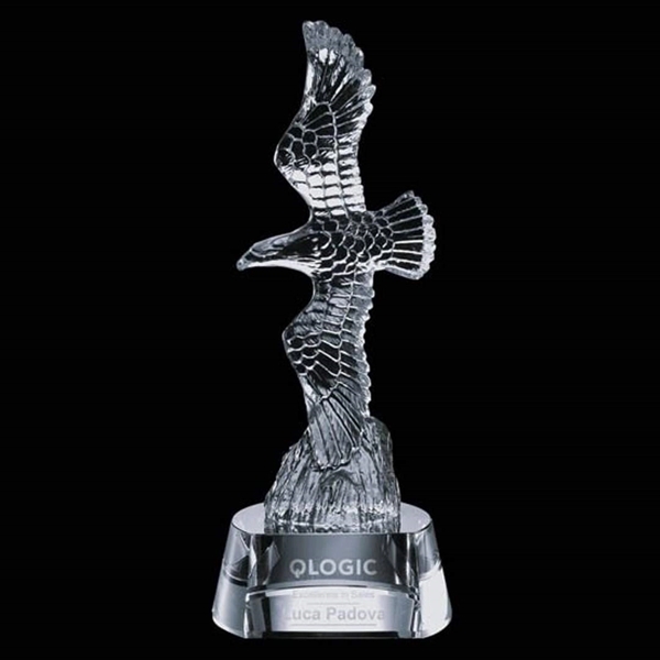 Staffordshire Eagle Award - Image 4