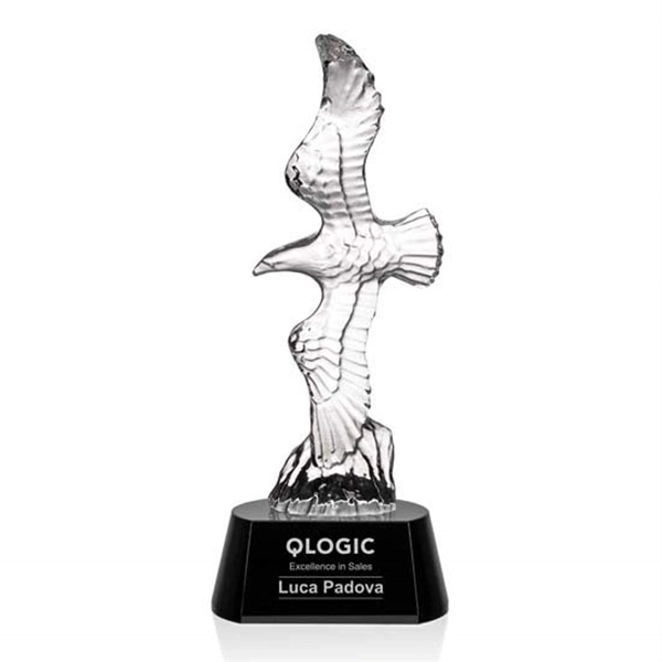 Staffordshire Eagle Award - Image 5