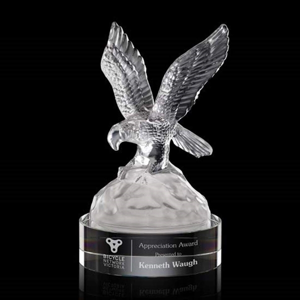 Buntingford Eagle Award - Image 8