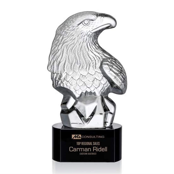 Fredricton Eagle Award - Image 7