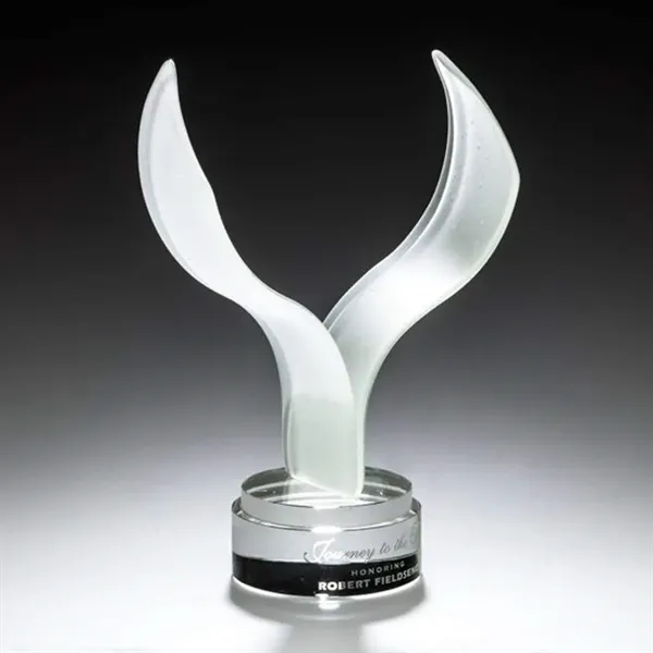 Aerial Award - Image 5