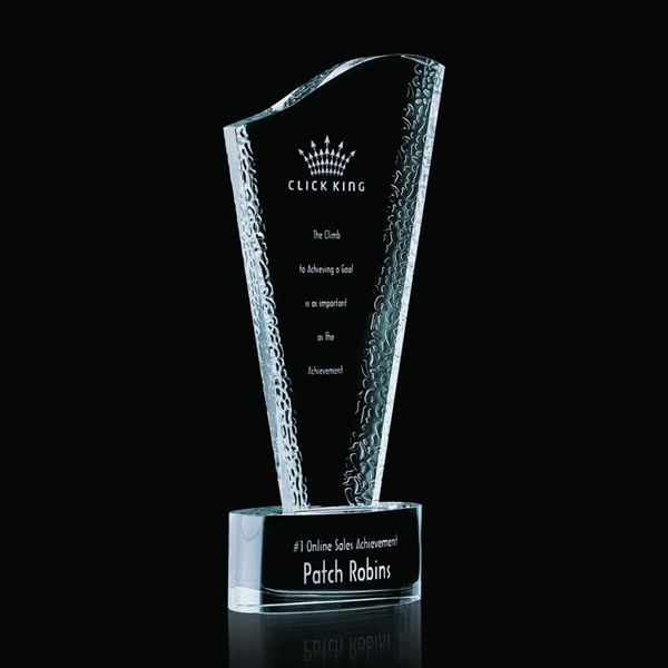Maddox Award - Image 4