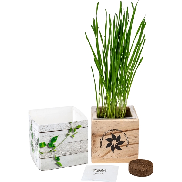Wooden Cube Grow Kit - Image 1