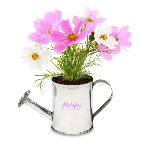 Watering Can Planter Kit - Image 1