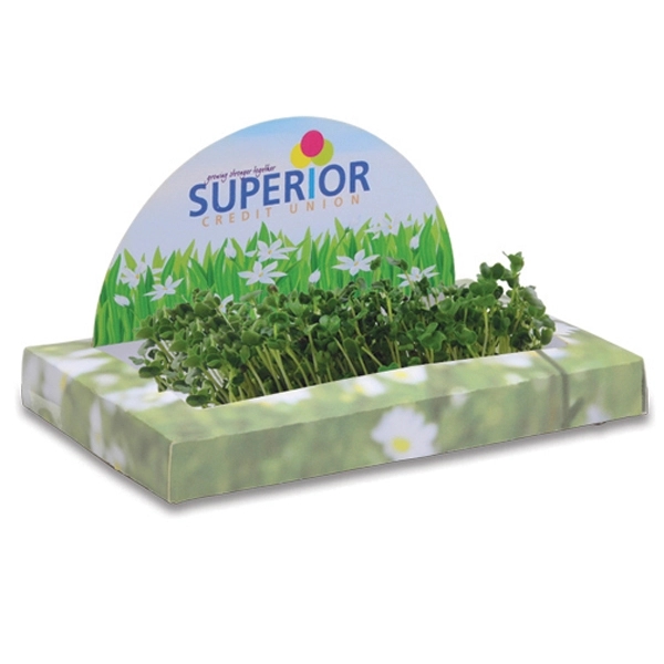 Sproutscape Desktop Garden - Image 2