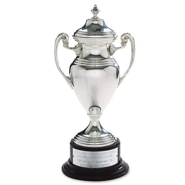 Silver Cup Award - Image 1