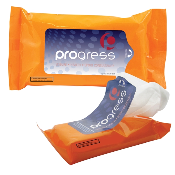 Tek-Wipes Antibacterial Wipes in a Pouch - Image 1