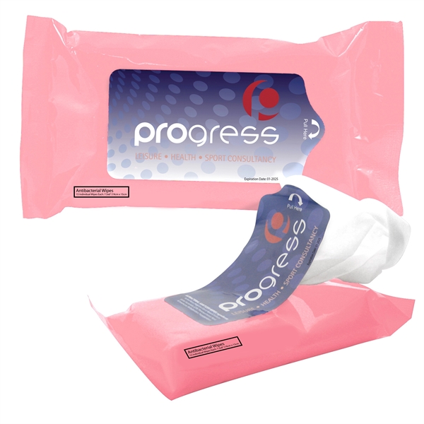 Tek-Wipes Antibacterial Wipes in a Pouch - Image 5