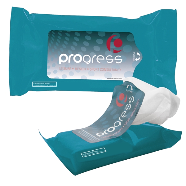 Tek-Wipes Antibacterial Wipes in a Pouch - Image 8