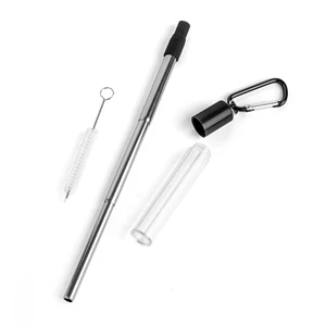 Extendable Stainless Steel Straw