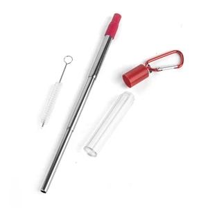 Extendable Stainless Steel Straw