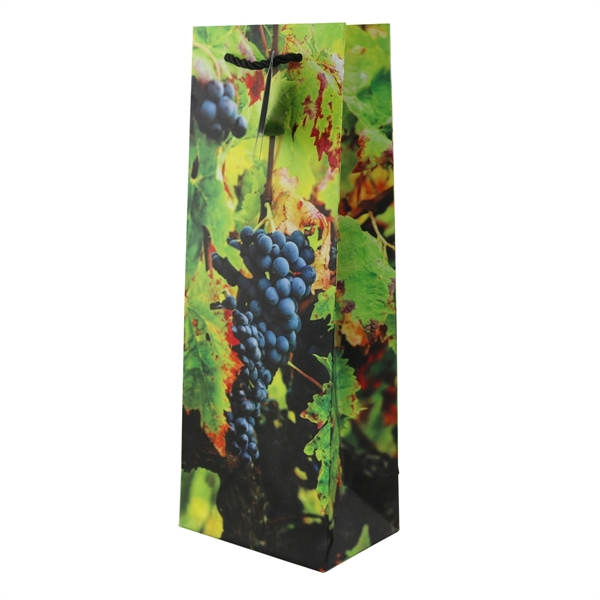 Wine Bottle Gift Bag - Image 40