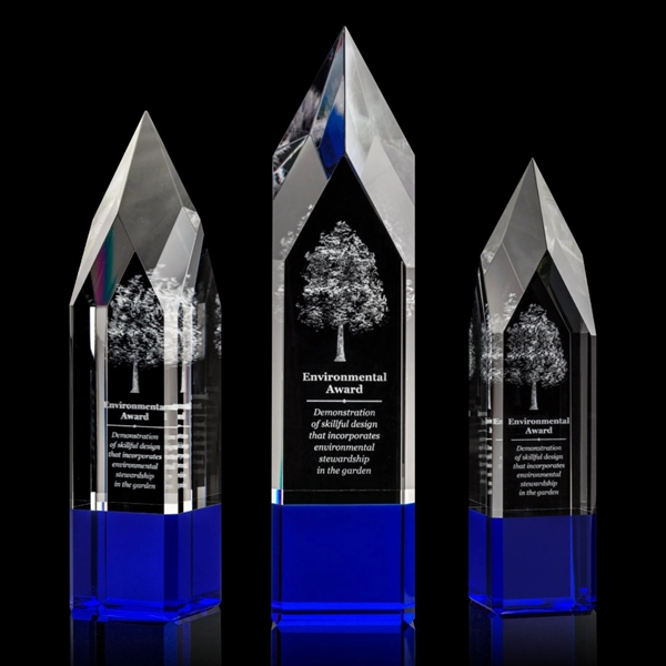 Coventry Award 3D - Blue - Image 1