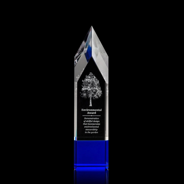 Coventry Award 3D - Blue - Image 2