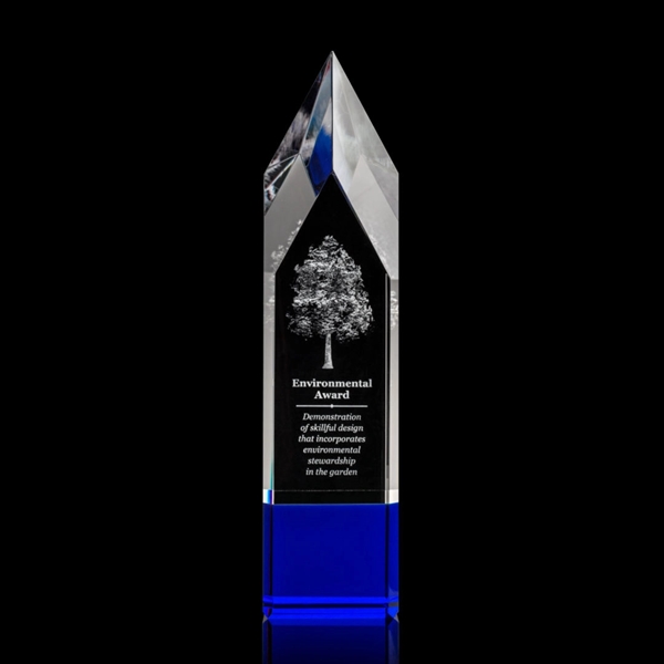 Coventry Award 3D - Blue - Image 3