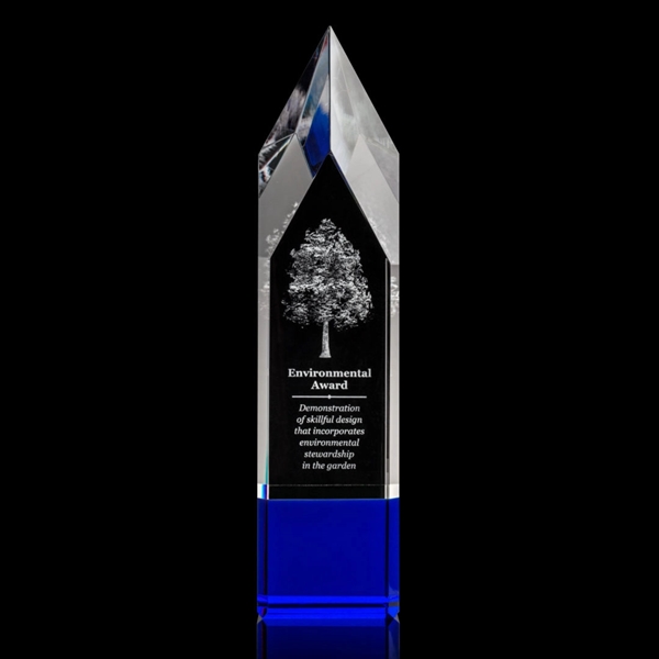 Coventry Award 3D - Blue - Image 4