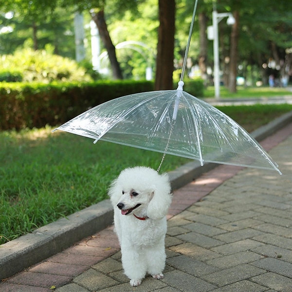 Pet Dog Umbrella with Leash - Image 4