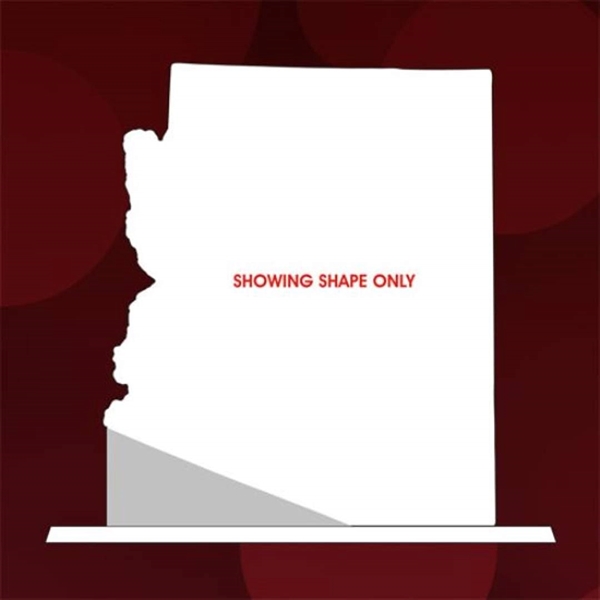 State Map Award -  Arizona - Image 2