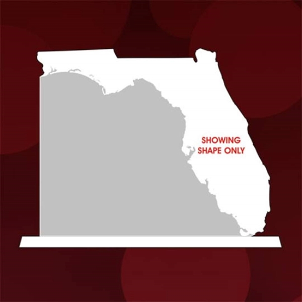 State Map Award -  Florida - Image 1