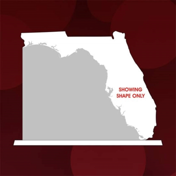 State Map Award -  Florida - Image 2