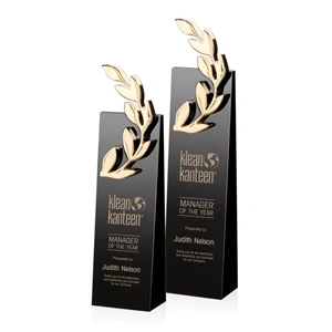 Camborne Award - Gold